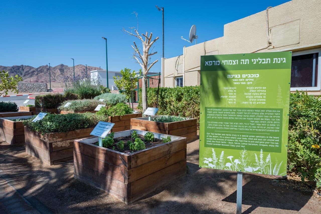 Eilot Kibbutz Country Lodging Eilat Eksteriør billede