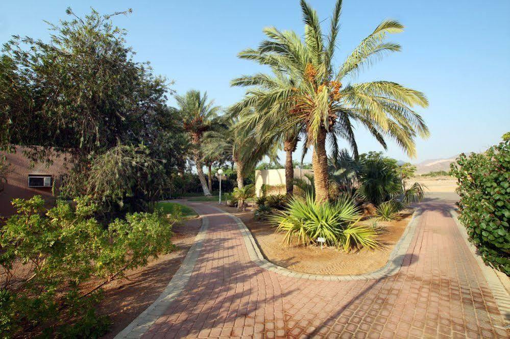 Eilot Kibbutz Country Lodging Eilat Eksteriør billede